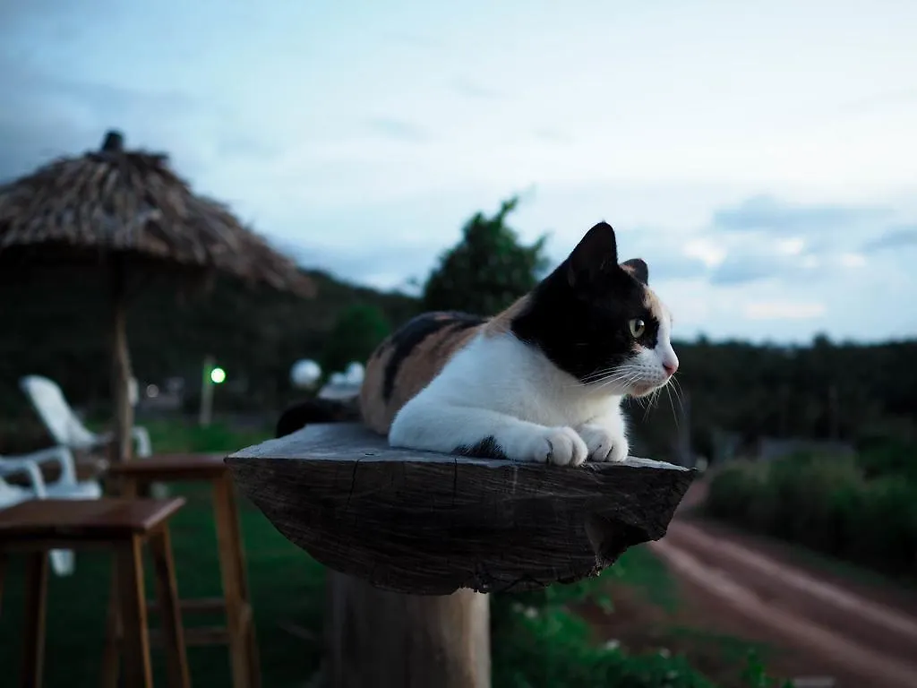 Cat Bungalow Ko Lanta Gasthof