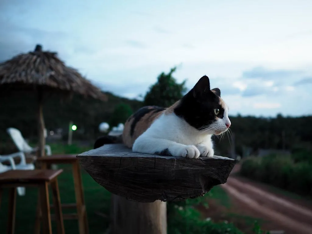 Guest house Cat Bungalow Hotel Koh Lanta