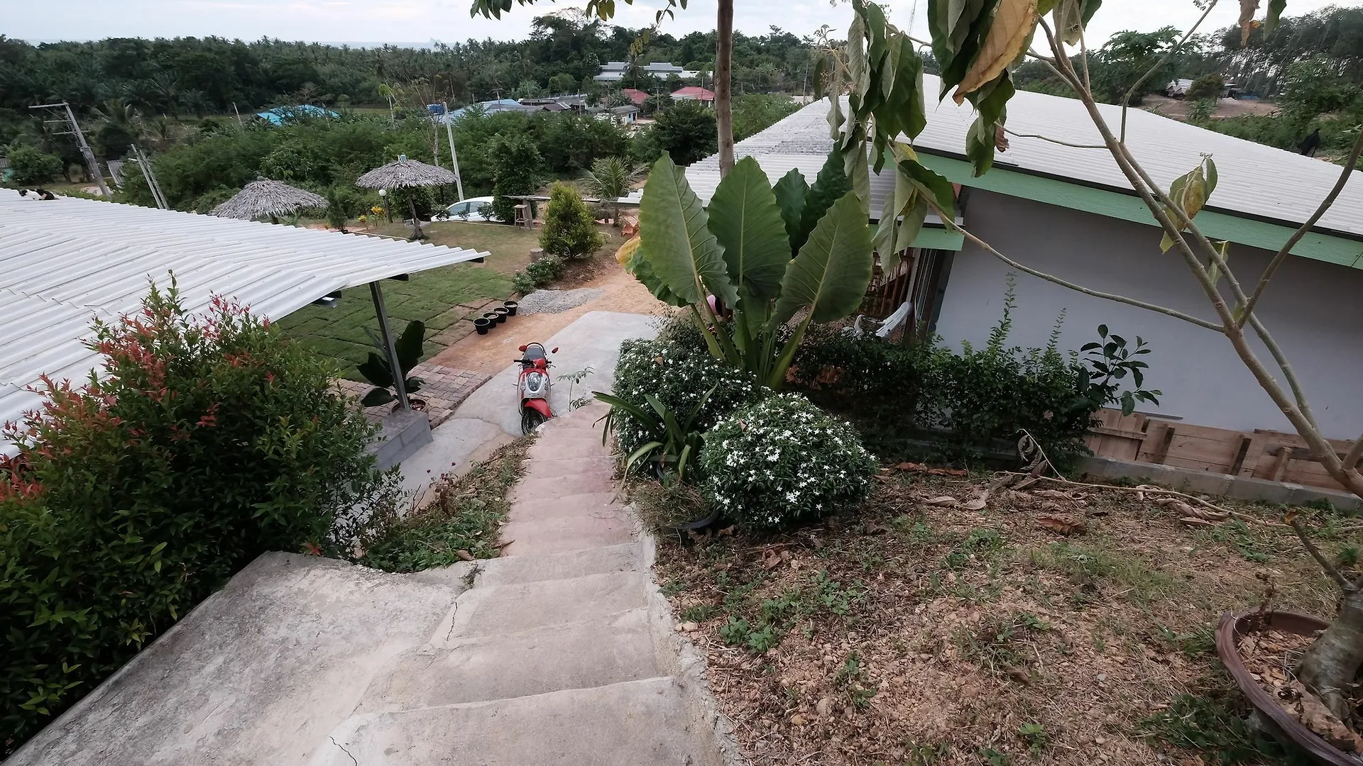 Guest house Cat Bungalow Hotel Koh Lanta